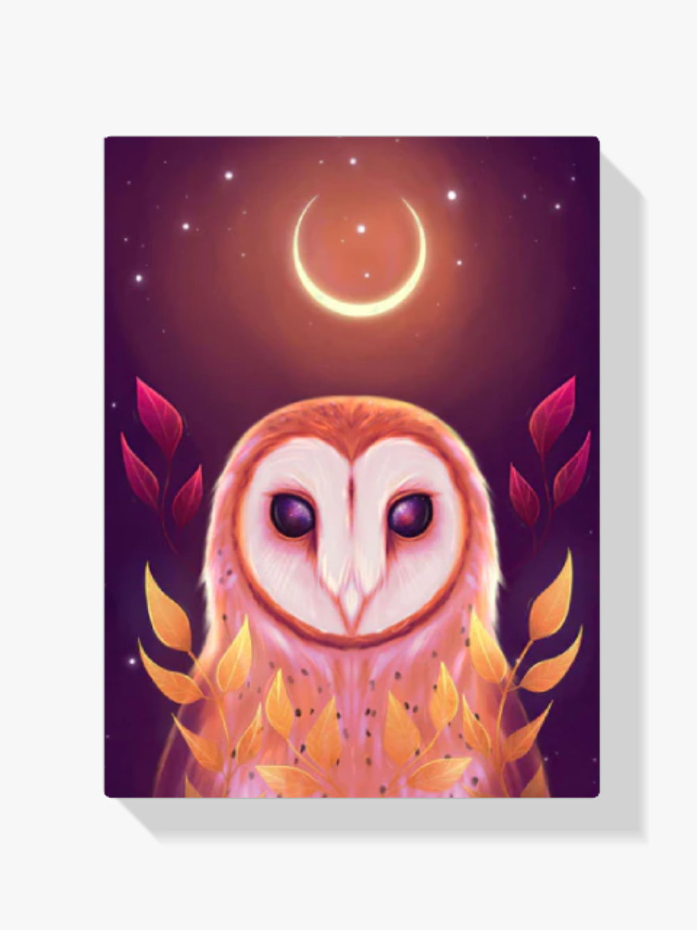 Schleiereule - Malen nach Zahlen