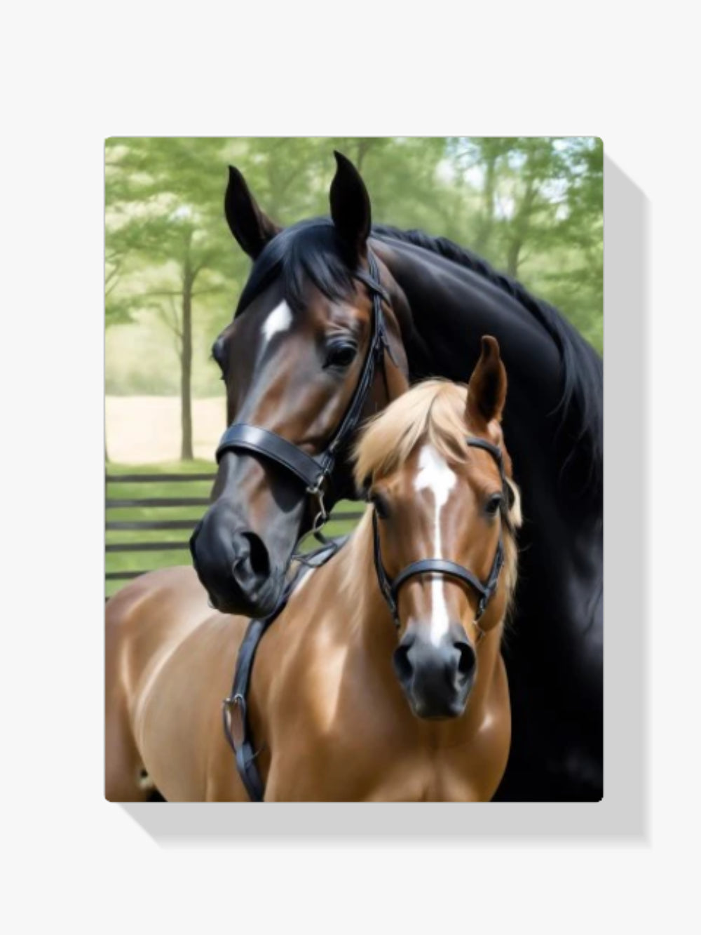 Schwarzes und braunes Pferd - Malen nach Zahlen