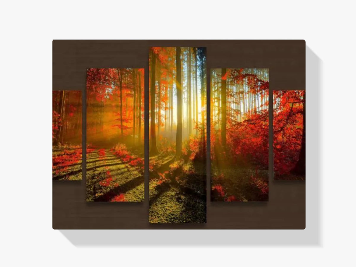 Sonnenstrahlen durch den Wald - Malen nach Zahlen