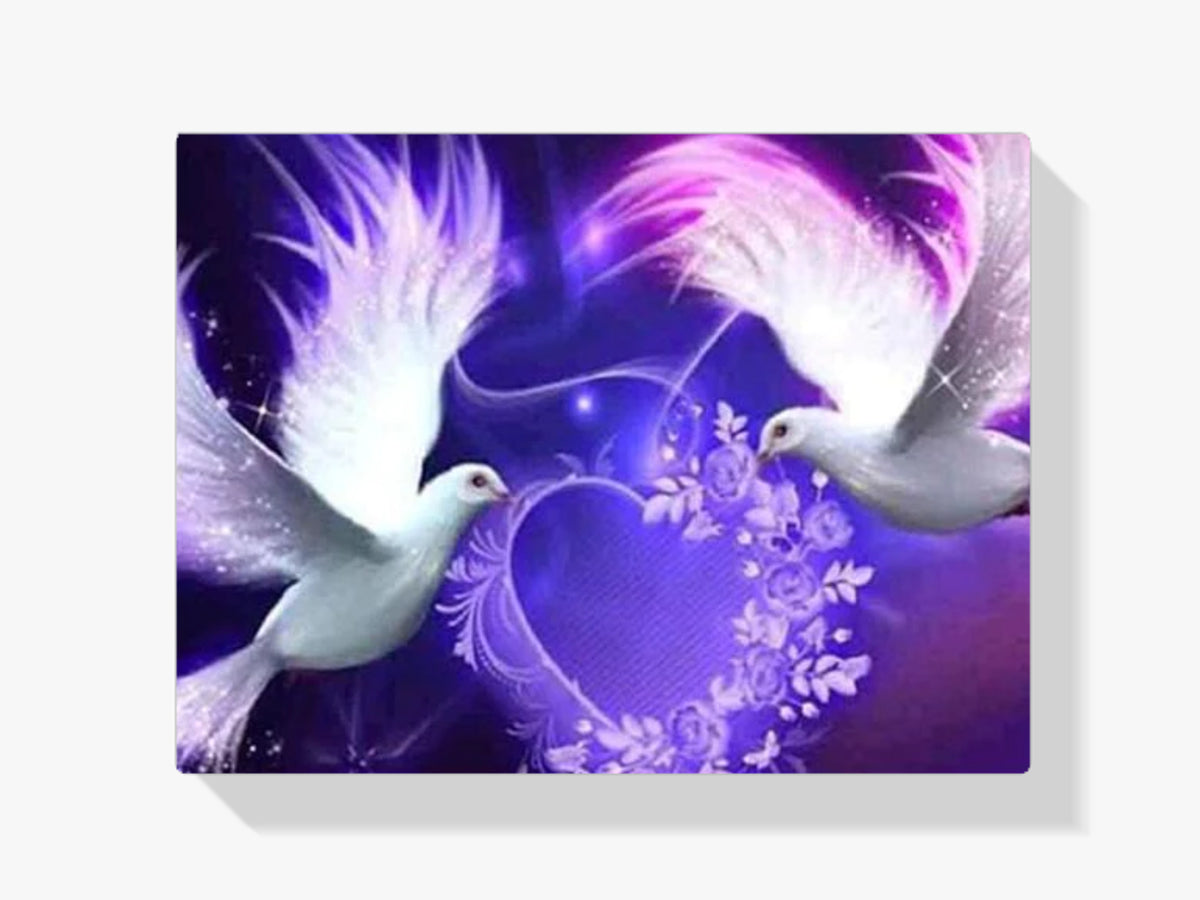 Tauben - Malen nach Zahlen