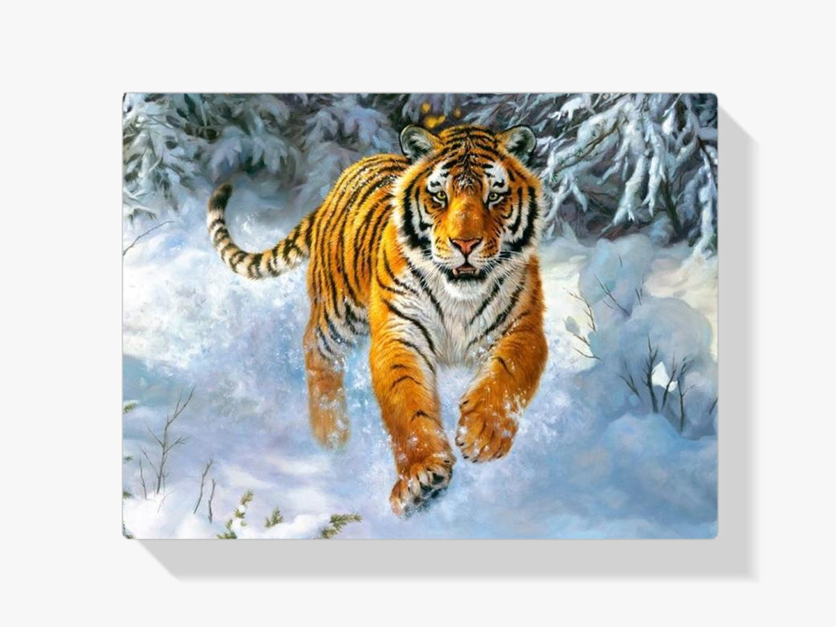 Tiger - Malen nach Zahlen