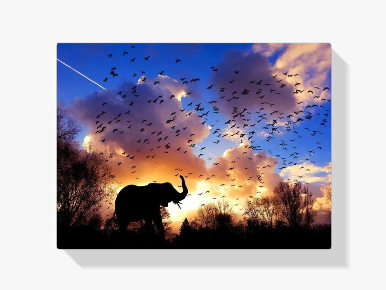 Vormittag in Afrika - Malen nach Zahlen