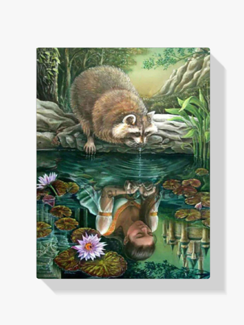 Waschbär - Malen nach Zahlen