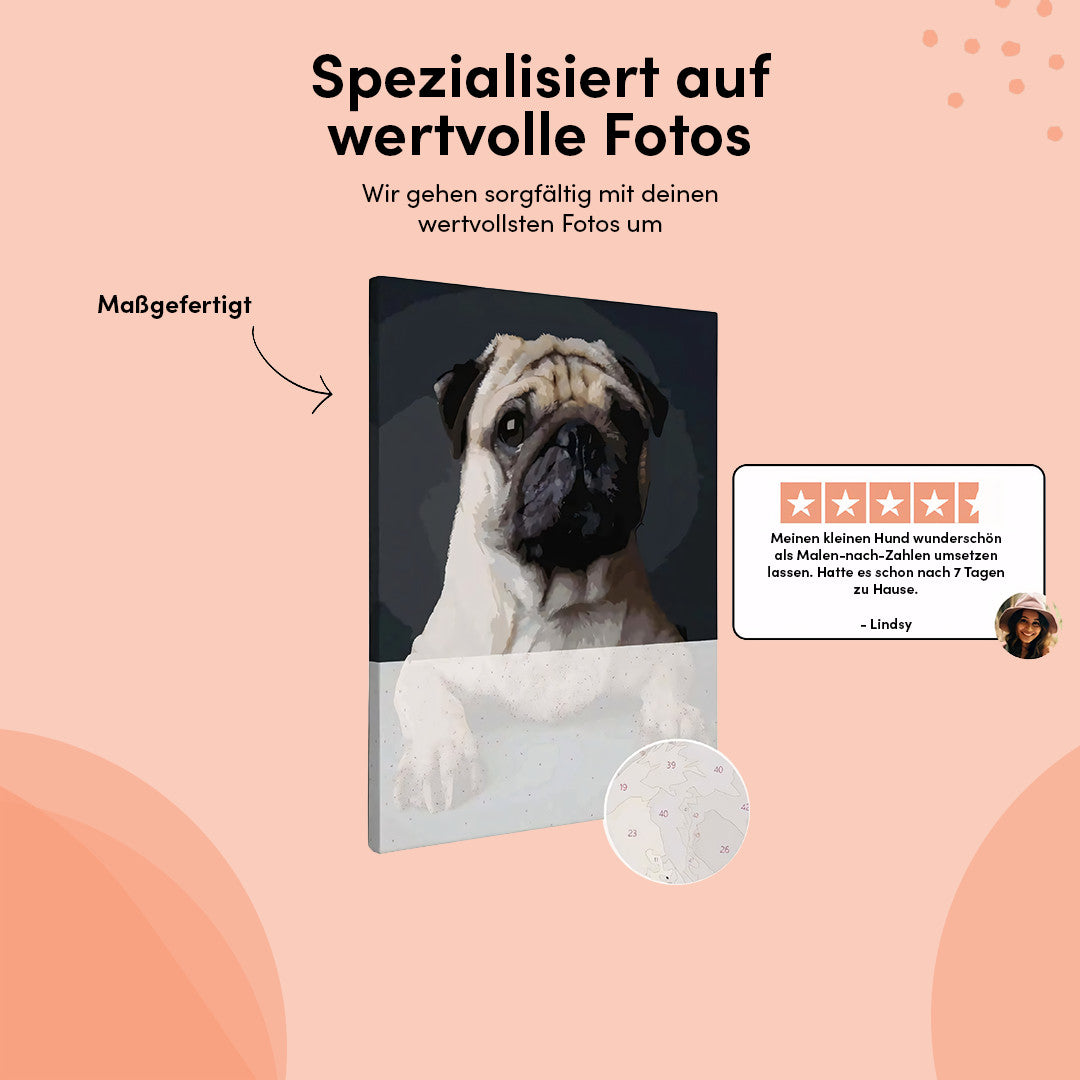 Malen nach Zahlen Foto Hunde