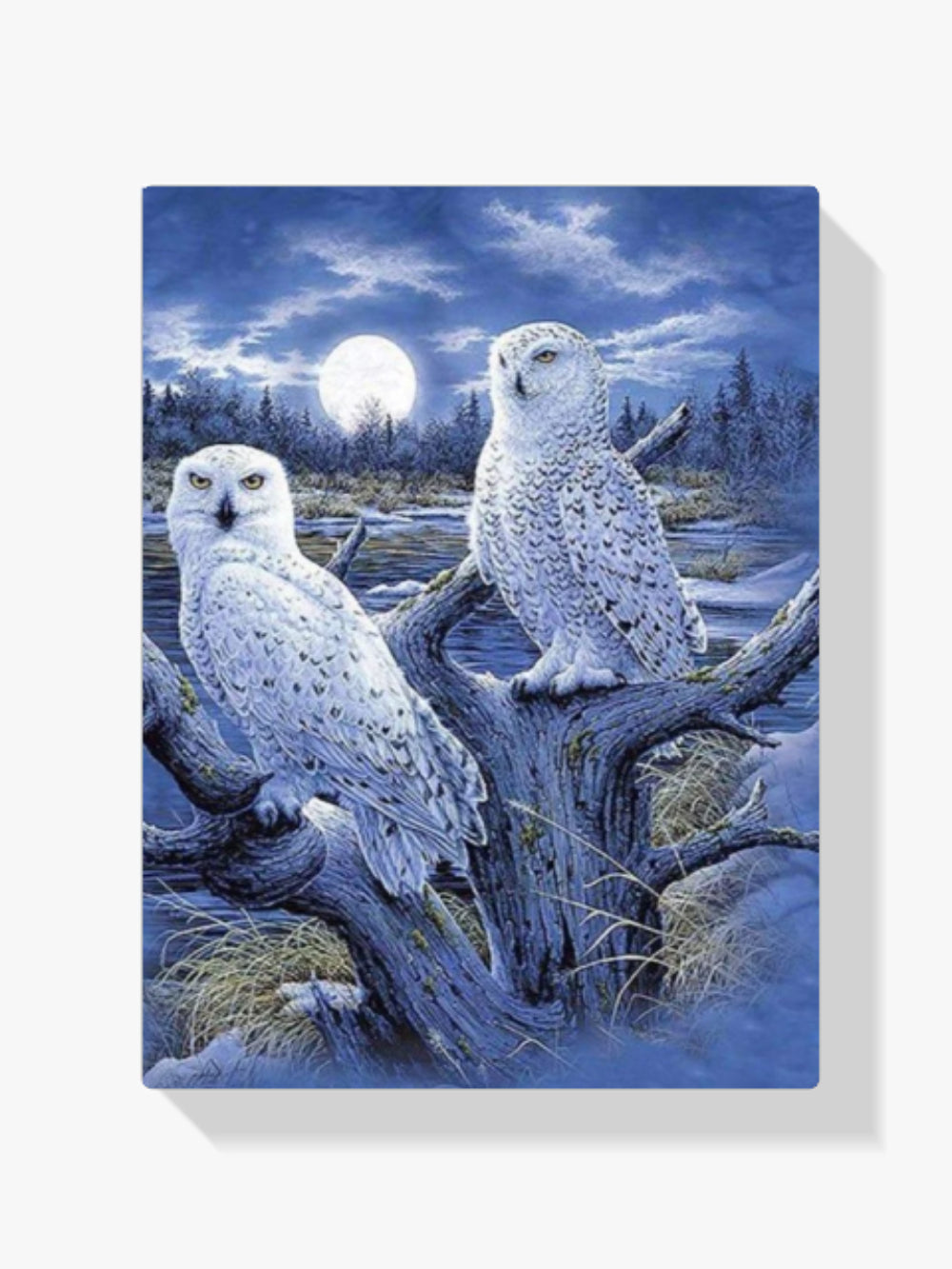 Winter-Eulen - Malen nach Zahlen