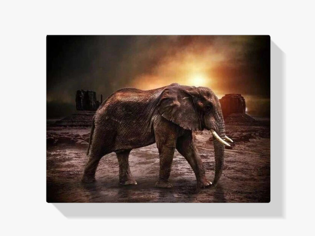 Alter Elefant in Bewegung - Malen nach Zahlen