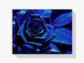 Blaue Rose - Malen nach Zahlen
