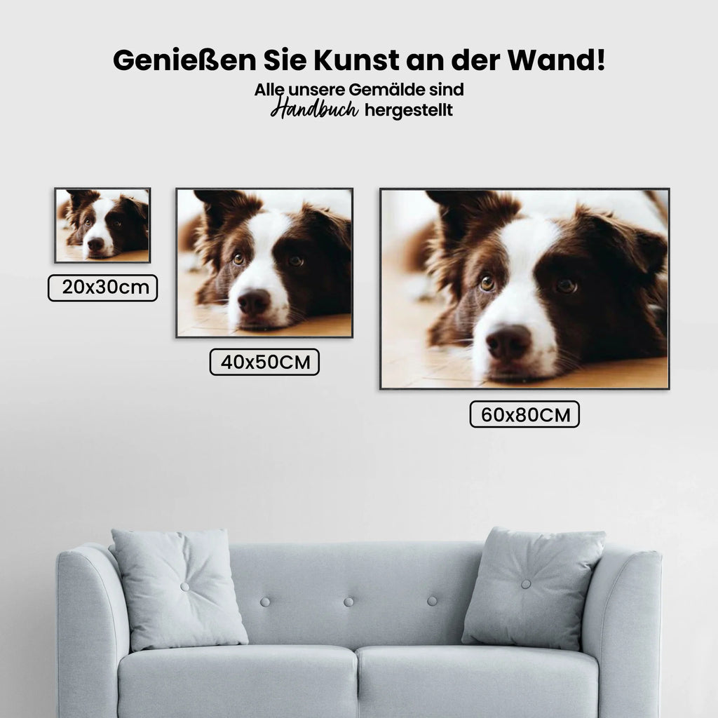 Bordercollie - Malen nach Zahlen