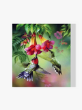 Bunte Kolibris - Malen nach Zahlen