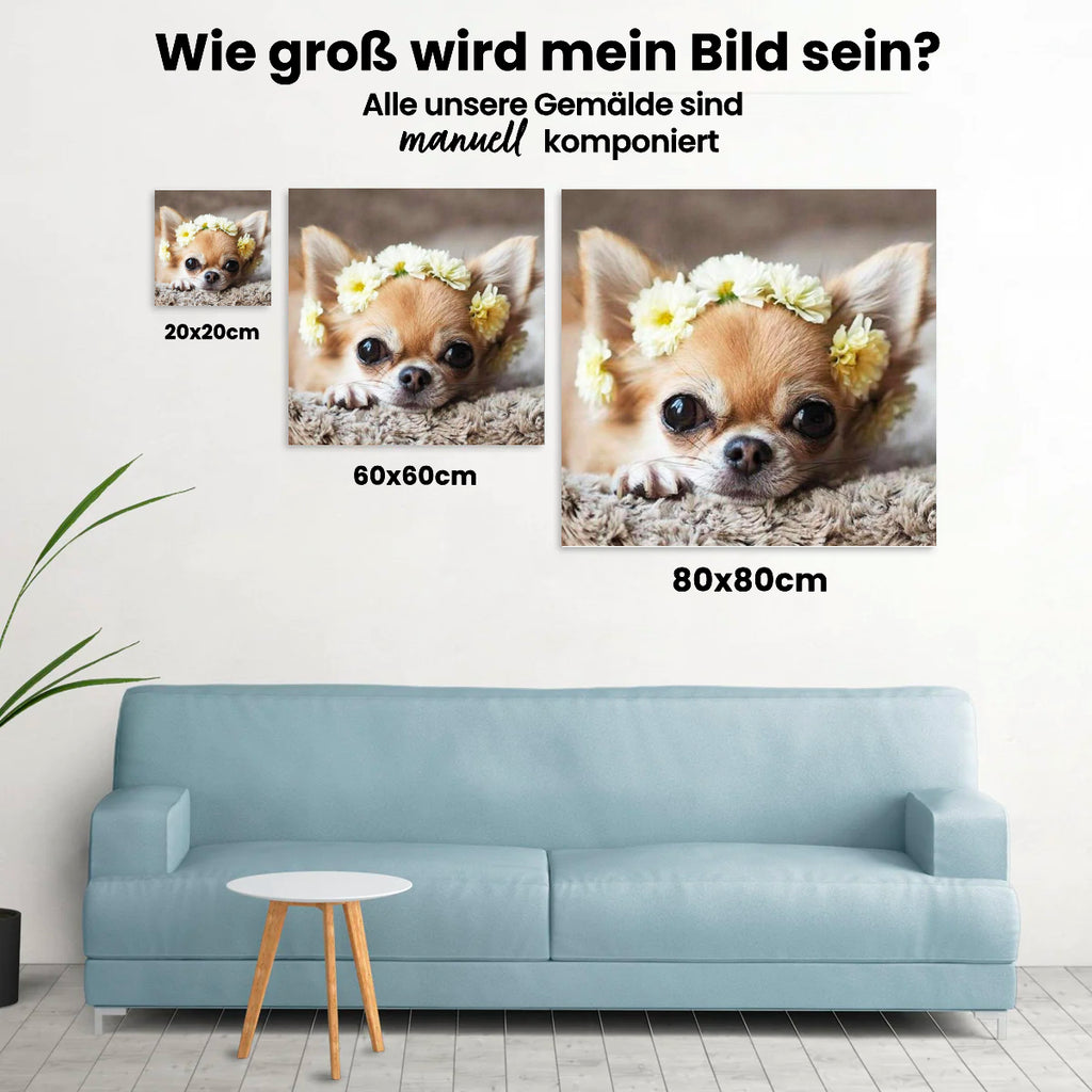 Chihuahua - Malen nach Zahlen