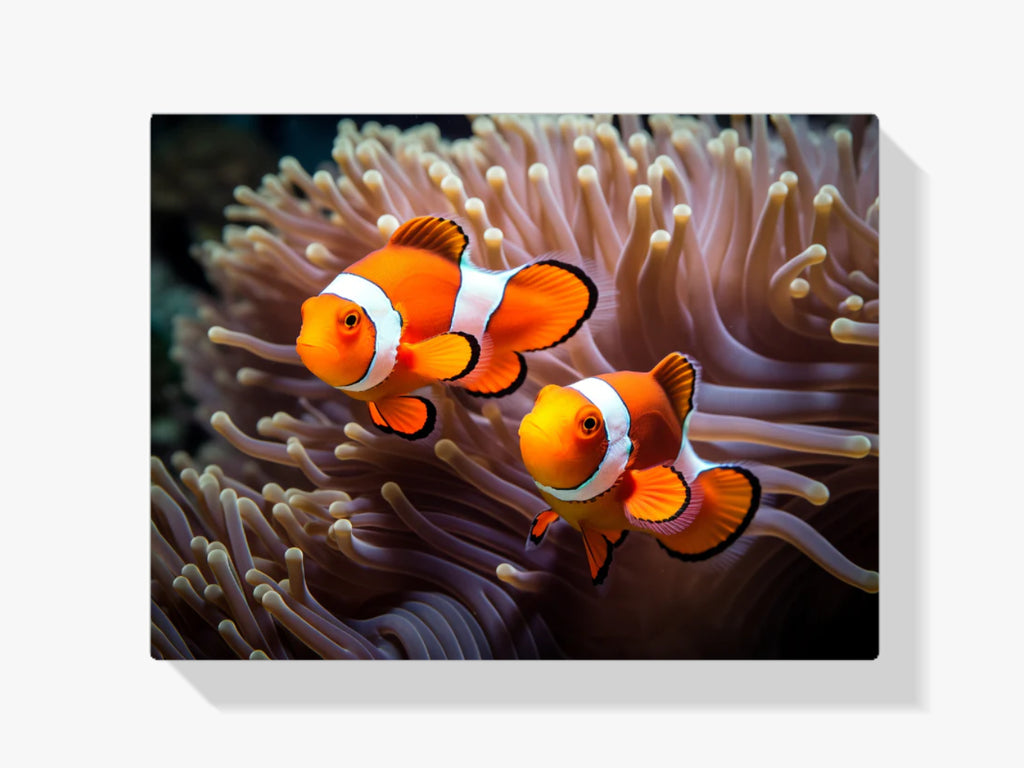 Clownfisch - Nemo - Malen nach Zahlen