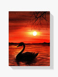 Der Schwan im See - Malen nach Zahlen