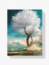 Der weiße Baum - Malen nach Zahlen