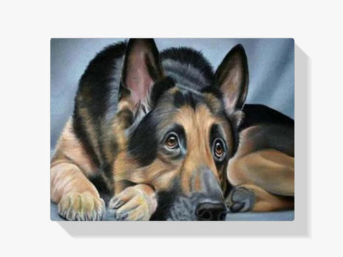 Deutscher Schäferhund - Malen nach Zahlen