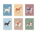 Malen nach Zahlen - 6 Mini-Gemälde | Die Hundstage-Kollektion