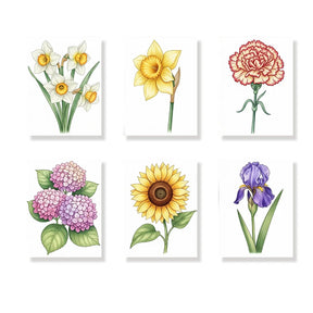 Malen nach Zahlen - 6 Mini-Gemälde | Die Sprache der Blumen