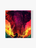 Elefant mit Farben - Malen nach Zahlen