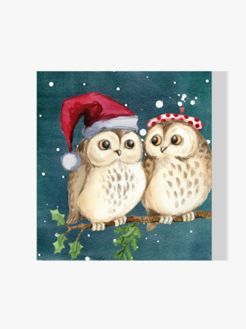 Eulenköpfe zu Weihnachten - Malen nach Zahlen