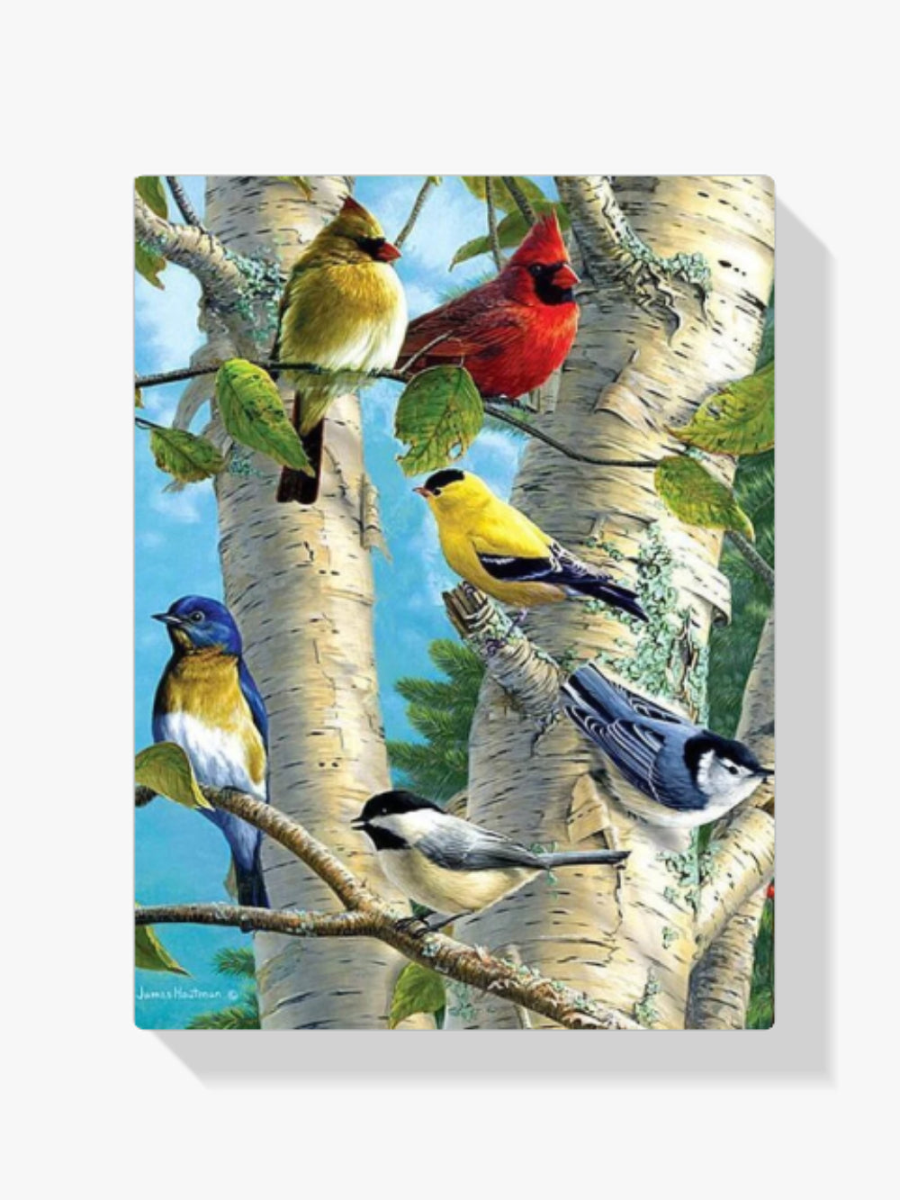 Farbige Vögel im Baum - Malen nach Zahlen