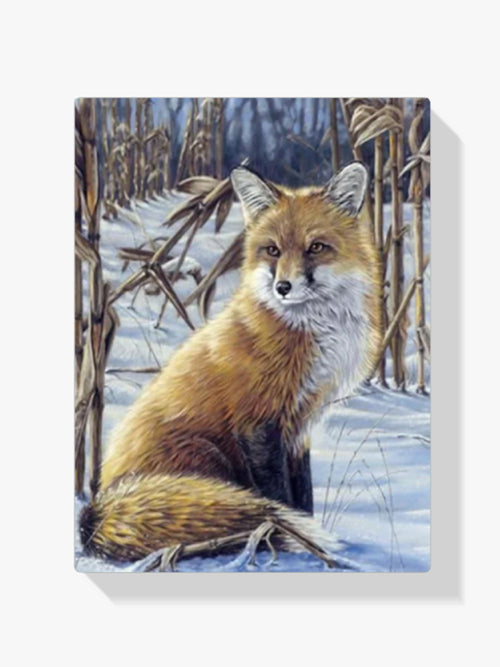 Fuchs - Malen nach Zahlen