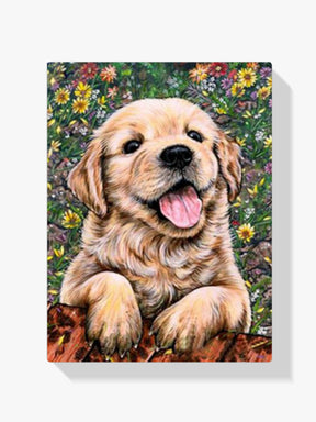 Golden Retriever - Malen nach Zahlen