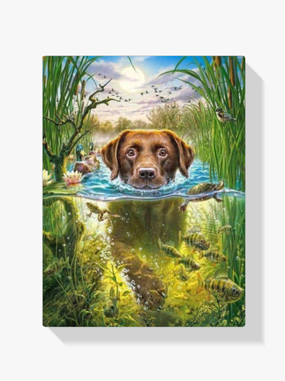 Hund fröhlich durchs Wasser - Malen nach Zahlen