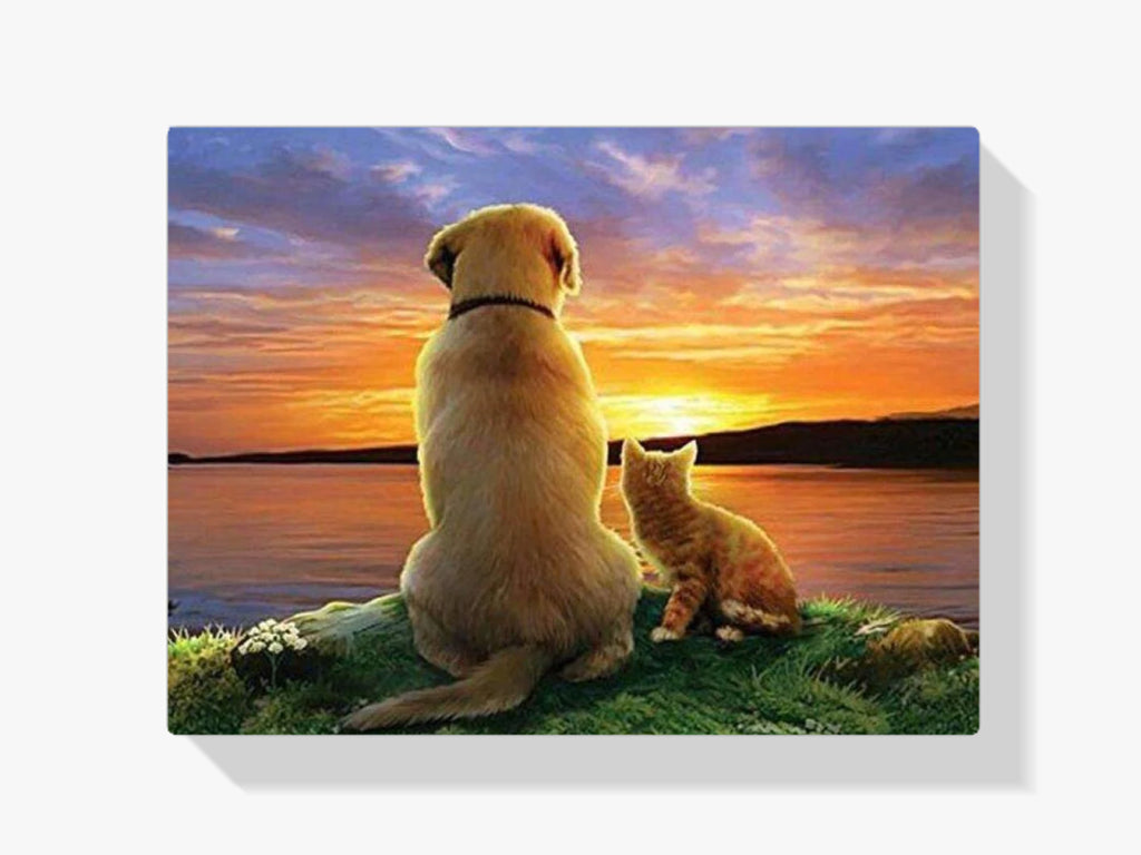 Hund und Katze bei Sonnenuntergang - Malen nach Zahlen