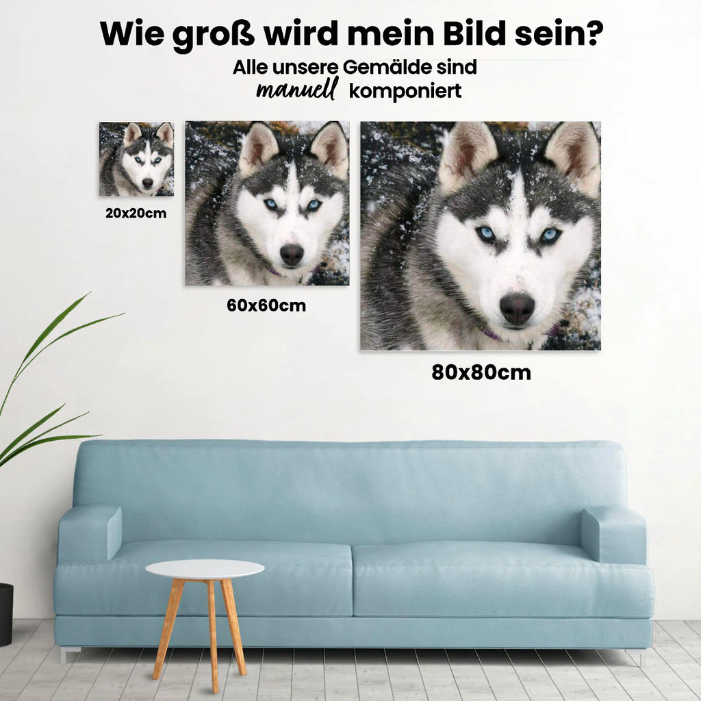 Husky Hund - Malen nach Zahlen