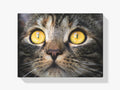 Katze Close Up - Malen nach Zahlen