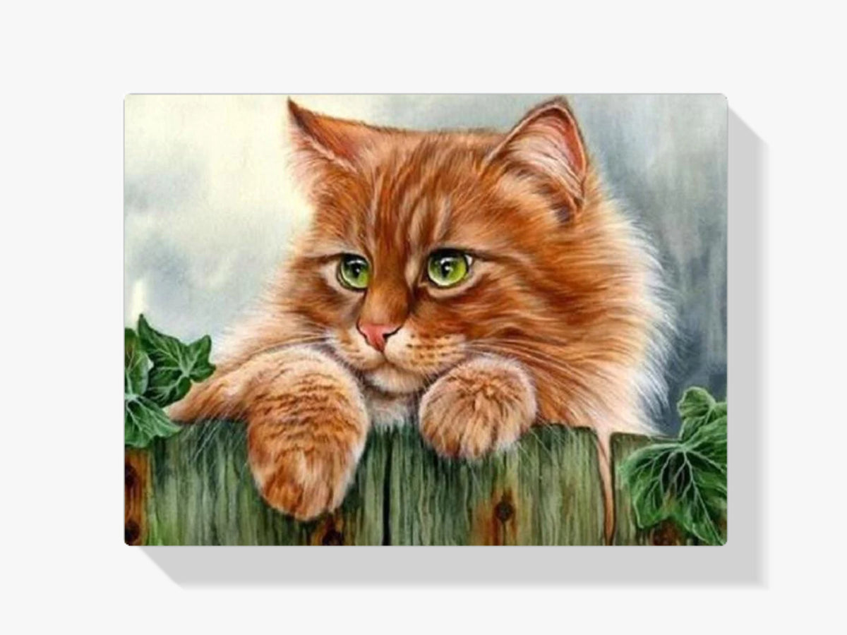 Katze - Malen nach Zahlen