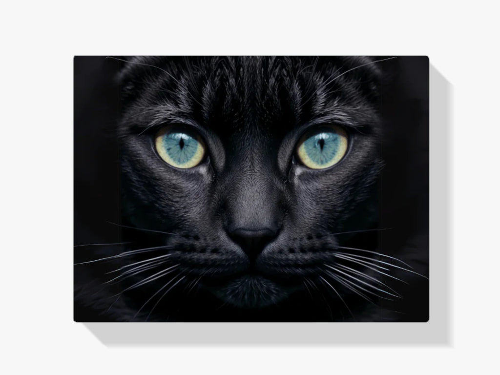 Katze - Malen nach Zahlen