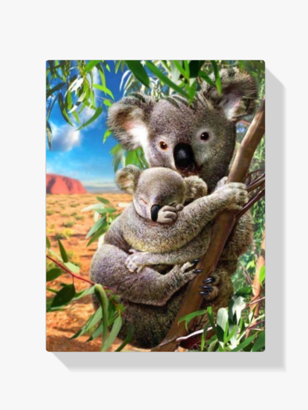 Koala-Bären - Malen nach Zahlen