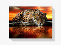 Leopard - Malen nach Zahlen