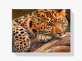 Leopard - Malen nach Zahlen