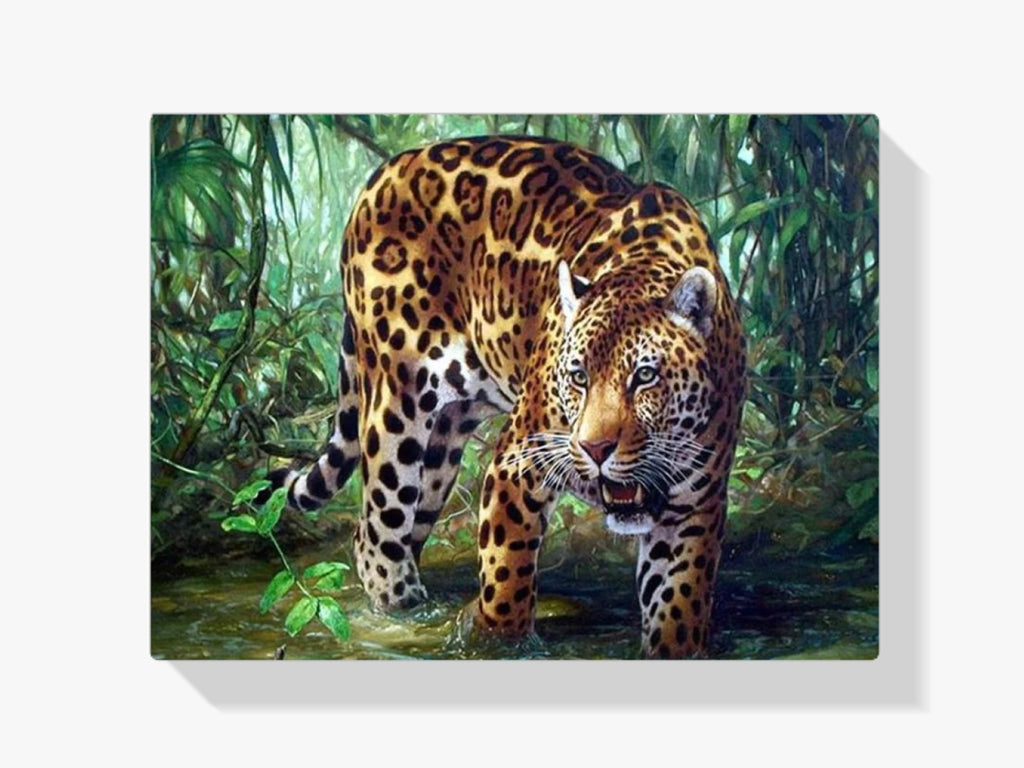 Leopard im Wasser - Malen nach Zahlen