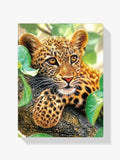 Leopardenjunge - Malen nach Zahlen