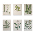 Malen nach Zahlen – 6 Mini-Gemälde Botanische Pflanzen 2.0 Ausgabe-Set-1