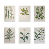 Malen nach Zahlen &#8211; 6 Mini-Gemälde Botanische Pflanzen 2.0 Ausgabe-Set-1