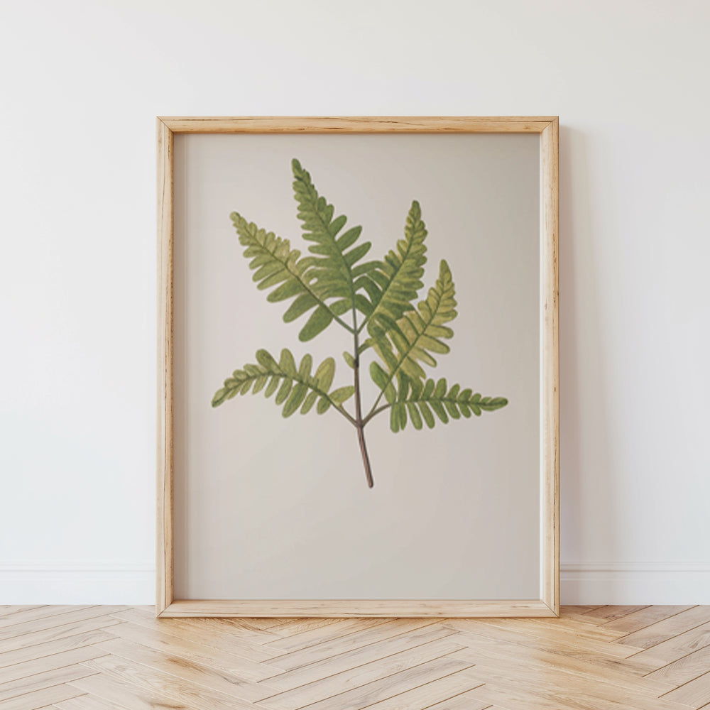 Malen nach Zahlen – 6 Mini-Gemälde Botanische Pflanzen 2.0 Ausgabe-Set-6