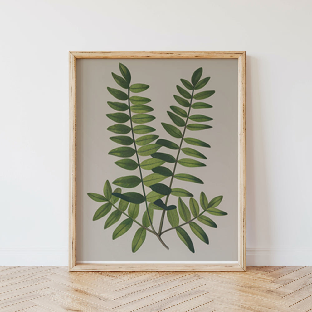 Malen nach Zahlen – 6 Mini-Gemälde Botanische Pflanzen 2.0 Ausgabe-Set-7