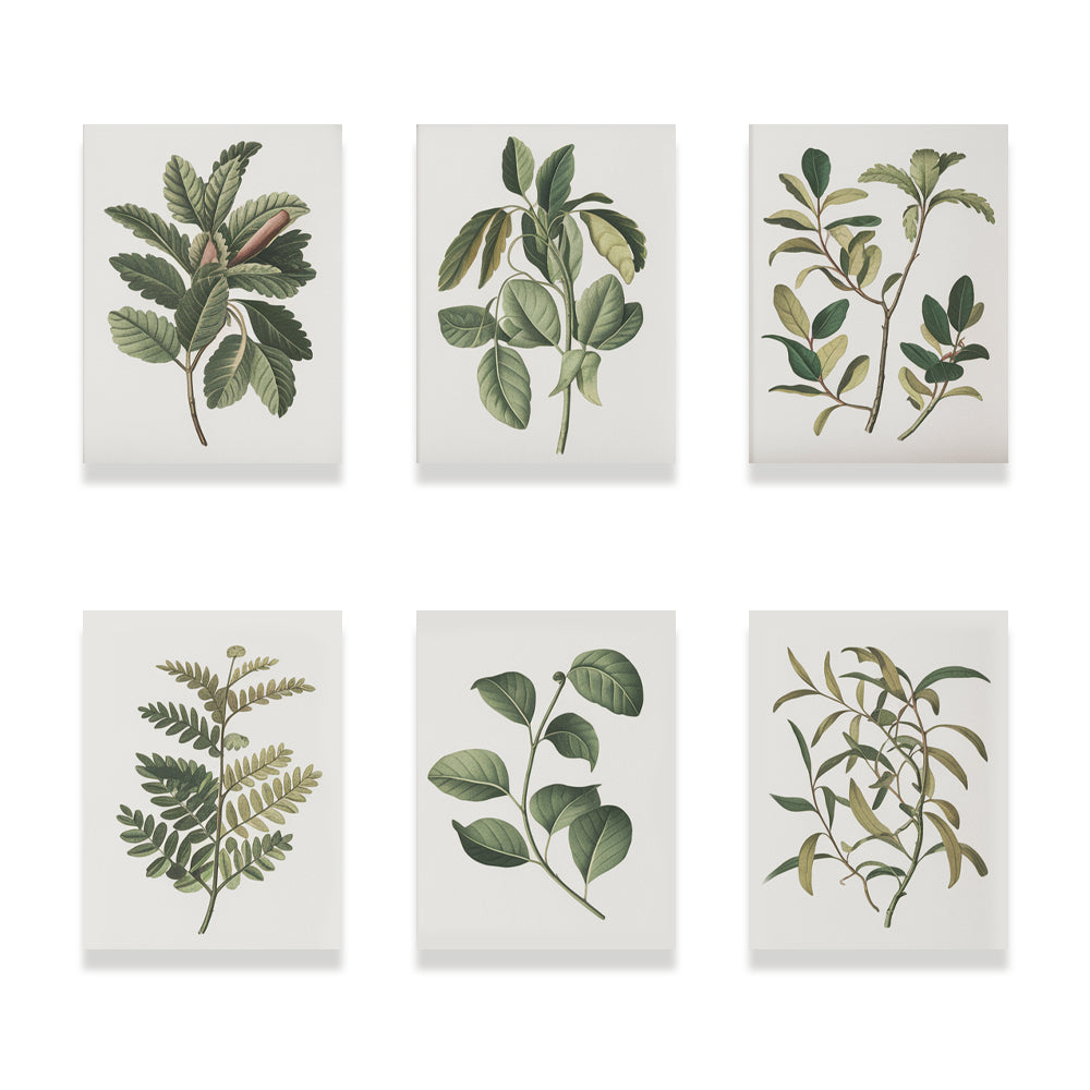 Malen nach Zahlen – 6 Mini-Gemälde Botanische Pflanzen Edition-Set-1