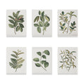 Malen nach Zahlen – 6 Mini-Gemälde Botanische Pflanzen Edition-Set-1