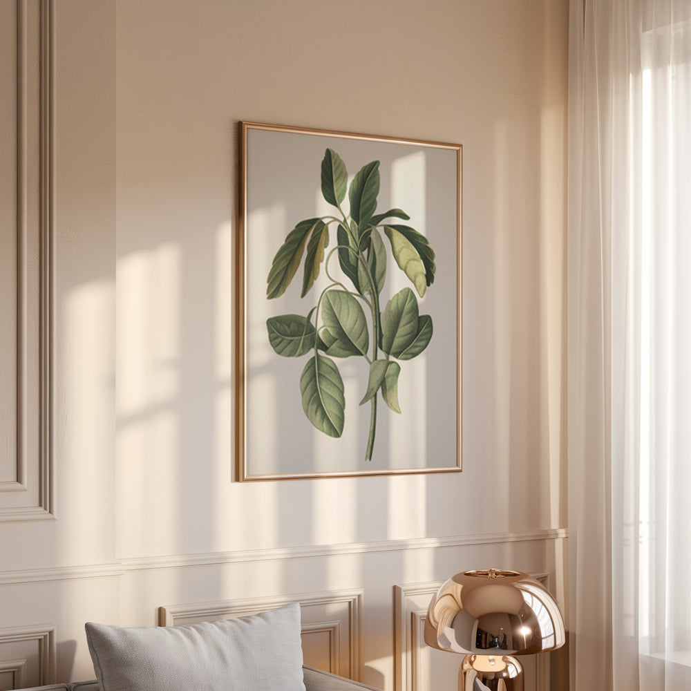 Malen nach Zahlen – 6 Mini-Gemälde Botanische Pflanzen Edition-Set-4