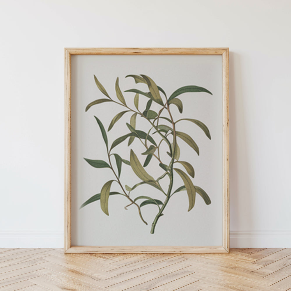 Malen nach Zahlen - 6 Mini-Gemälde | Botanische Pflanzen Edition-Set