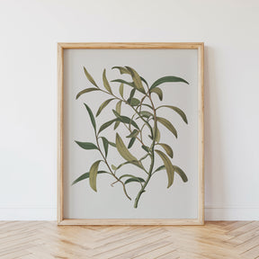 Malen nach Zahlen - 6 Mini-Gemälde | Botanische Pflanzen Edition-Set