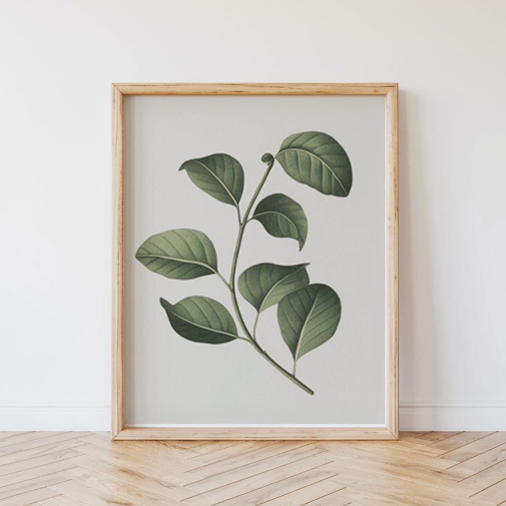 Malen nach Zahlen – 6 Mini-Gemälde Botanische Pflanzen Edition-Set-6