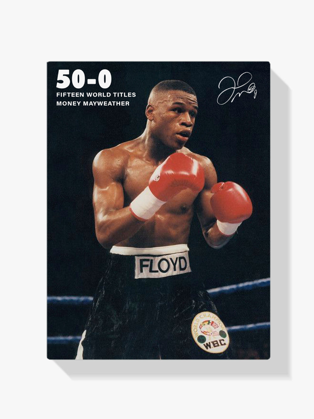 Malen nach Zahlen – Floyd Mayweather