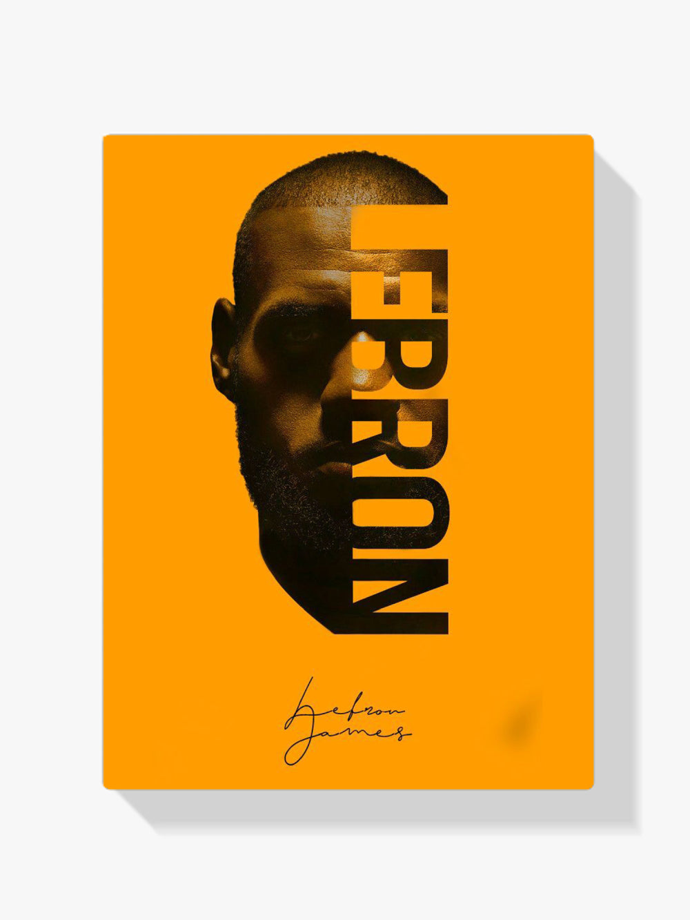 Malen nach Zahlen – Lebron James