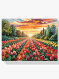 Malen nach Zahlen – Tulpensinfonie