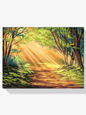 Malen nach Zahlen - Waldweg mit Sonnenlicht das durch die Bäume fällt